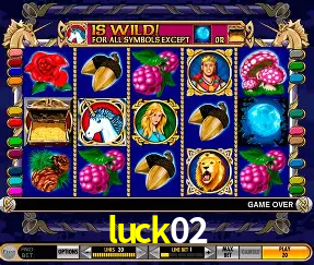 Gates of Olympus luck02